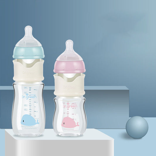 Glass Baby Bottle with Portable Heater